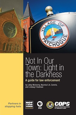 View an electronic version
